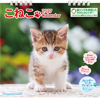 ２０２７　こねこ