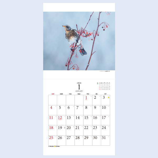 2026 小鳥のさえずり 吉野俊幸 | 伊東屋オンラインストア