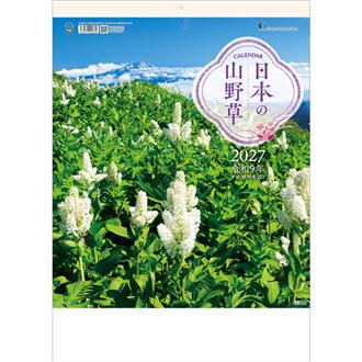２０２７　日本の山野草