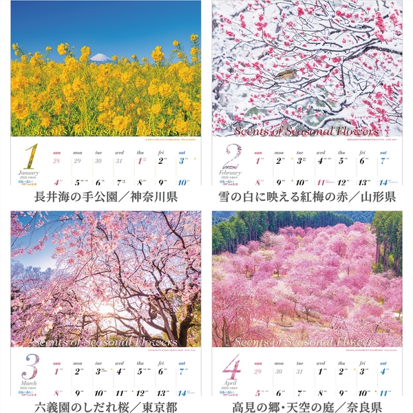 自然・風景写真 花のアート　A3 額装済み　作品プリント 自然・風景写真 花のアート A3 額装済み 作品プリント