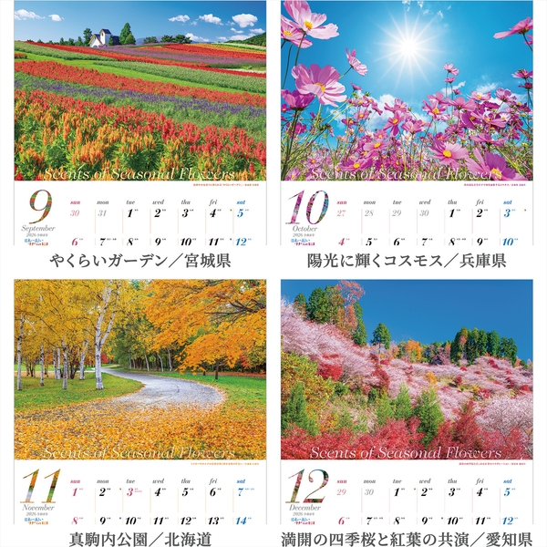だいたいぜんぶ展限定壁掛けポスター Amazon.co.jp: 煉獄杏寿郎 鬼滅の刃 無限列車編 竈門 炭治郎