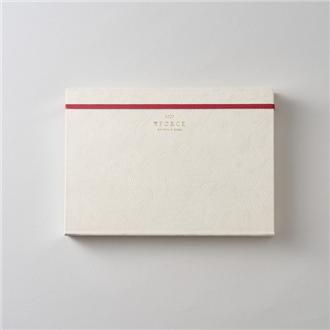 ２７　１１月始　ＦＯＲＣＥ手帳　Ａ５　プレミアム白華　Ｒｏｏｔｓ　Ｗｈｉｔｅ