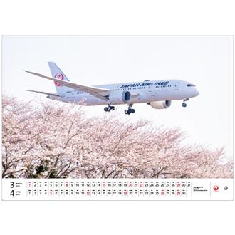 ２０２６　ＪＡＬ　ＦＬＥＥＴ（大型判）