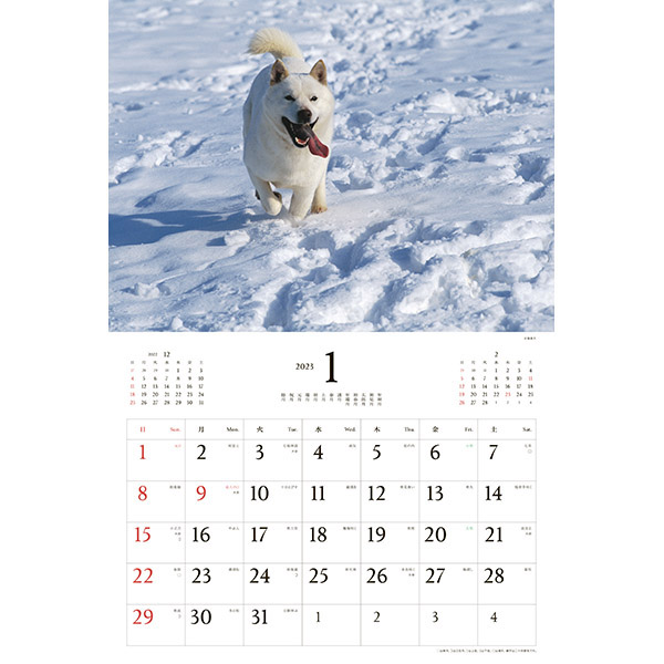 いぬ便り 岩合光昭 23年 壁掛け 犬カレンダー いぬ便り 岩合光昭 23年 壁掛け 犬カレンダー