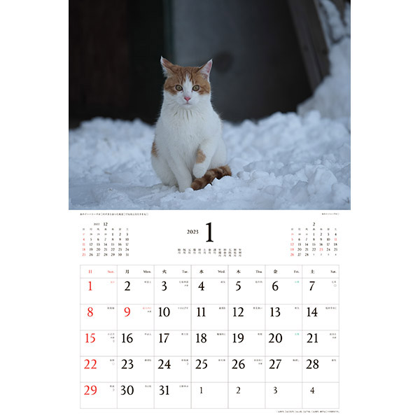 ２０２３ 壁掛けカレンダー 日本の猫 岩合光昭 伊東屋オンラインストア