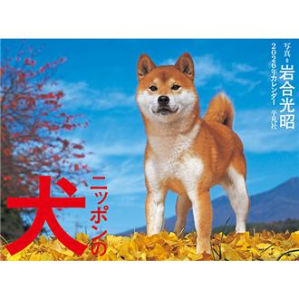 2026 壁掛カレンダー ニッポンの犬 岩合光昭 | 伊東屋オンラインストア