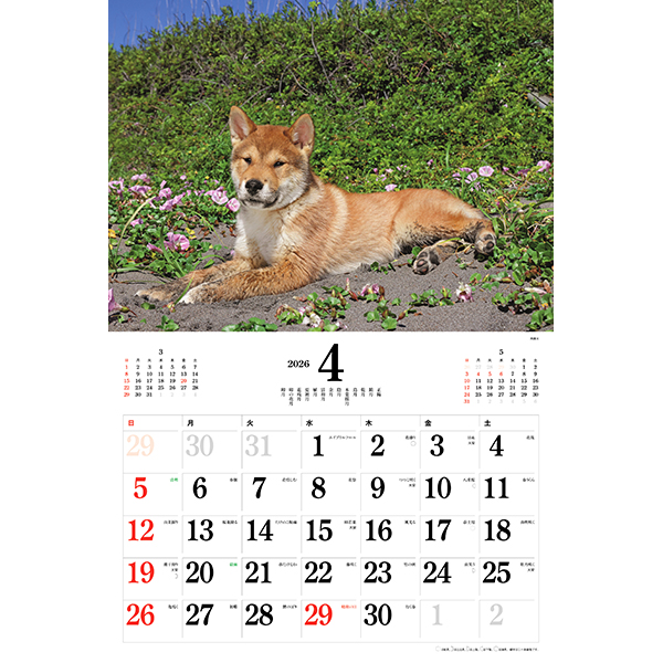 アート スミス作 ウェルシュコーギー プリント アメリカン ウェルシュ