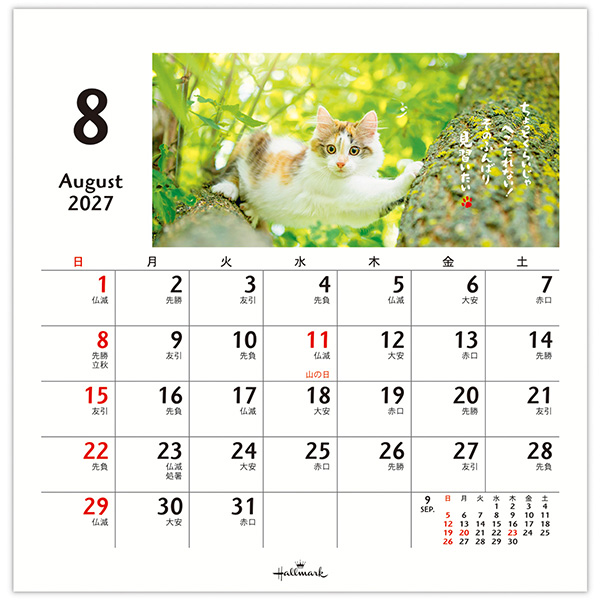 2027 卓上カレンダー ほめにゃんこ | 伊東屋オンラインストア