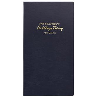 ２６　Ｎｏ．５００　月間予定　１ヶ月ホリゾンタル