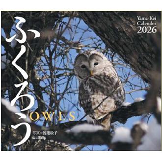 ２０２６　ふくろう／渡邊松子