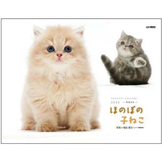 ２０２６　ほのぼの子ねこ／福田豊文