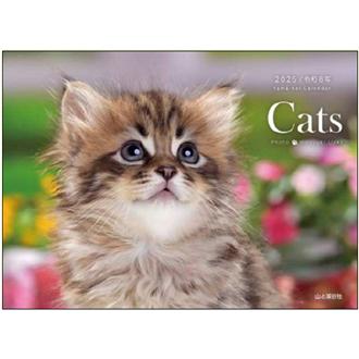 ２０２６　Ｃａｔｓ／植木裕幸