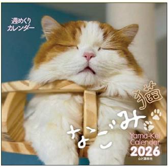 ２０２６　週めくり　なごみ猫