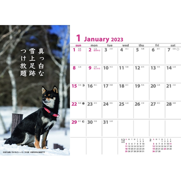 ２０２３ 卓上カレンダー 犬川柳 伊東屋オンラインストア