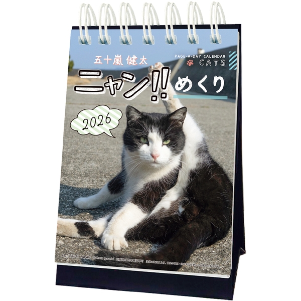 2026 日めくりカレンダー ニャン！！めくり／五十嵐健太 | 伊東屋