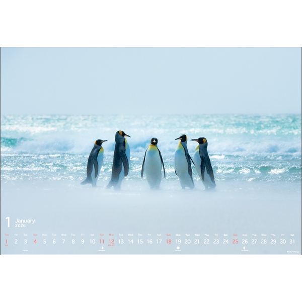 2026 壁掛カレンダー PRECIOUS MOMENTS／高砂淳二