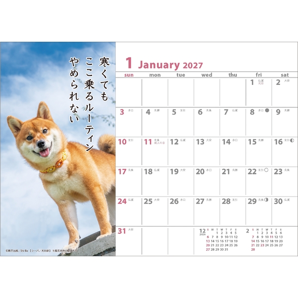 2027 卓上カレンダー 犬川柳（卓上） | 伊東屋オンラインストア
