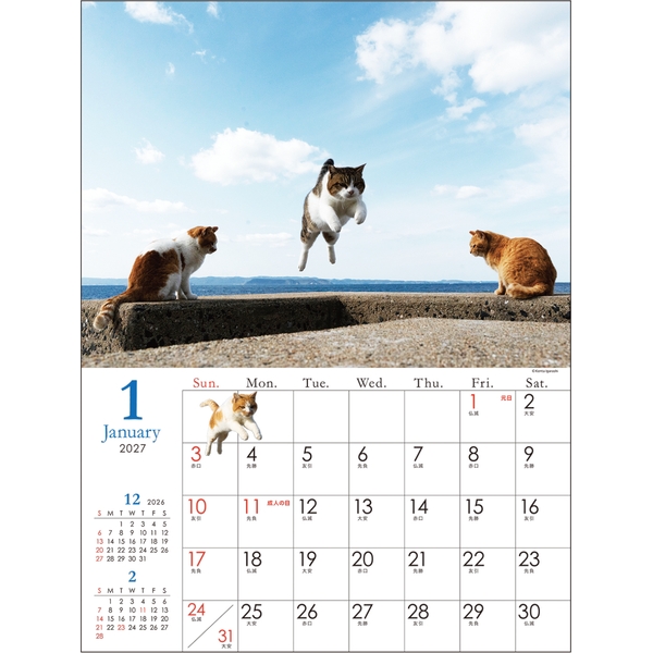 2027 壁掛カレンダー 飛び猫 | 伊東屋オンラインストア