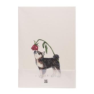 秦直也　ノート　「柴犬」