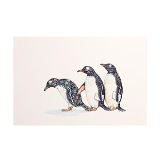 秦直也　ポストカード　「ペンギン」