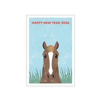 お年玉付年賀状 カラー印刷5枚入PK-2613