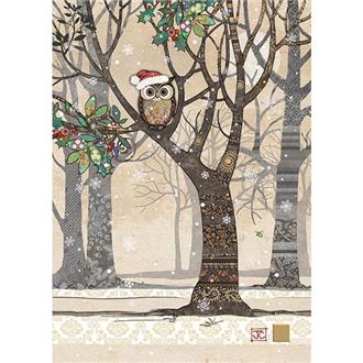 クリスマスカード　ＤＣ０３７　枝のサンタふくろう