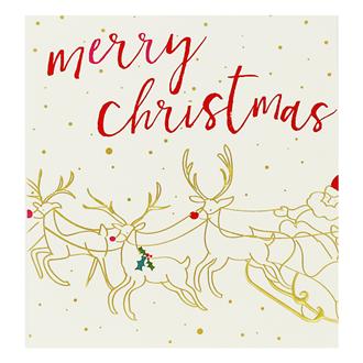 クリスマスカード　ＰＮＴ５４９　トナカイとサンタ