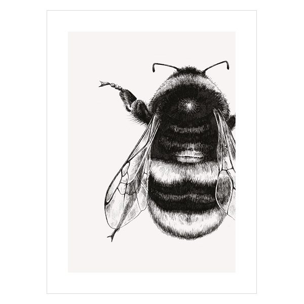 ブランクカード IS22A 肖像（丸花蜂） | 伊東屋オンラインストア