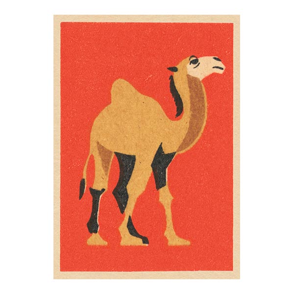 ブランクカード ｚｚ１８４０ ひとこぶらくだ 伊東屋オンラインストア