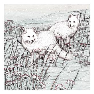 ブランクカード　ＴＷ２３　雪原の北極狐