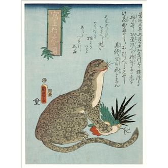 ポスター５０ｘ７０　浮世絵（写生猛虎之図・豹）