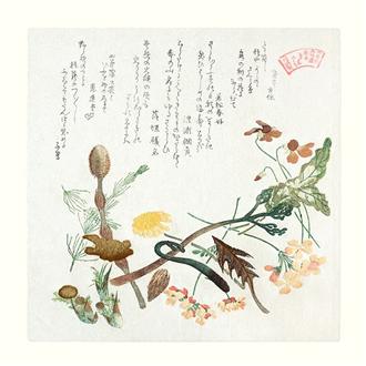プリント３０ｘ３０　木版色紙（春の草木のうち）