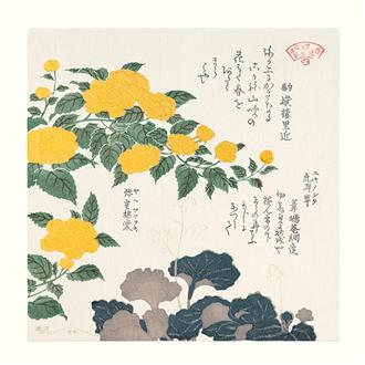 プリント３０ｘ３０　木版色紙（八重山吹と虎耳草）