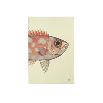 糸綴じノート　ＸＬ　無罫　リーフ（魚・赤）