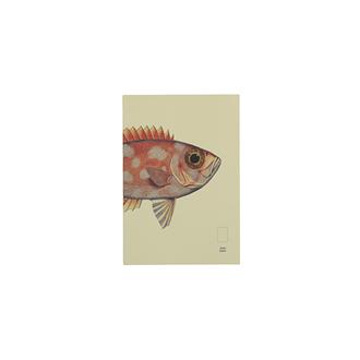 糸綴じノート　ポケット　無罫　リーフ（魚・赤）