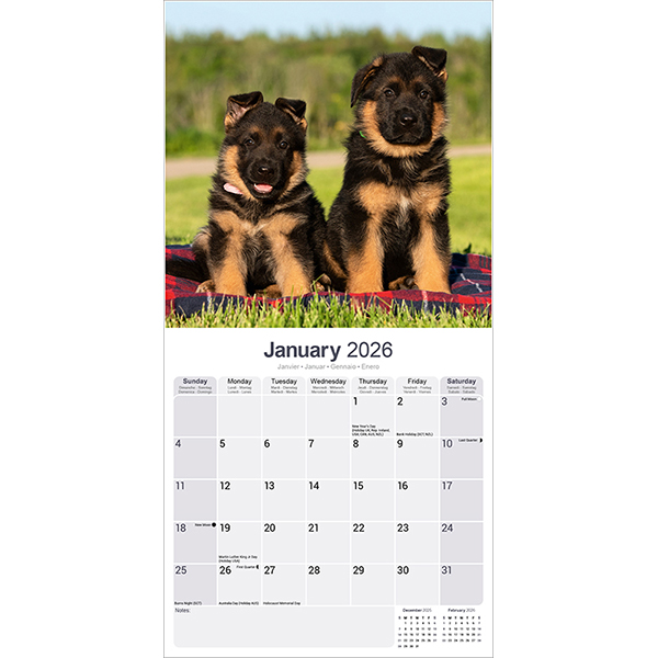 2026 30x30 G．Shepherd | 伊東屋オンラインストア