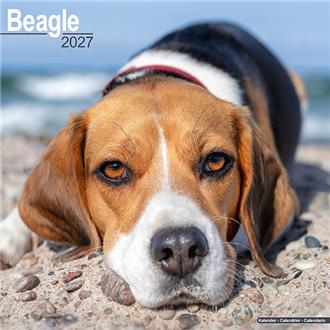 2027 30x30 Beagle | 伊東屋オンラインストア