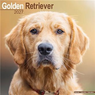 ２０２７　３０ｘ３０　Ｇ．Ｒｅｔｒｉｅｖｅｒ