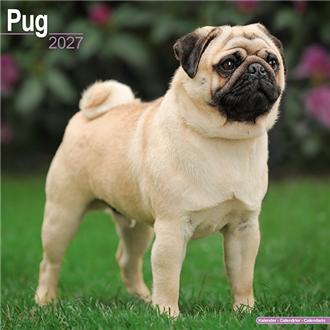 ２０２７　３０ｘ３０　Ｐｕｇ