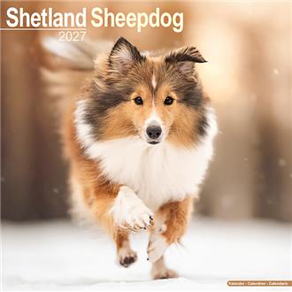 ２０２７　３０ｘ３０　Ｓ．Ｓｈｅｅｐｄｏｇ