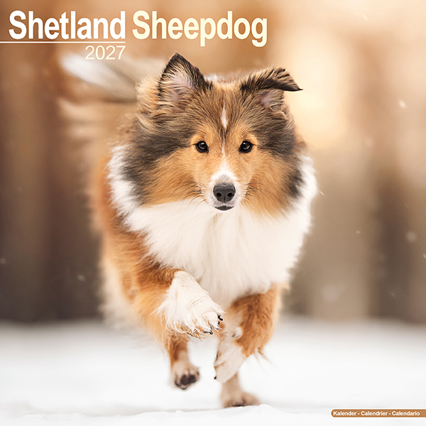 2027 30x30 S．Sheepdog | 伊東屋オンラインストア