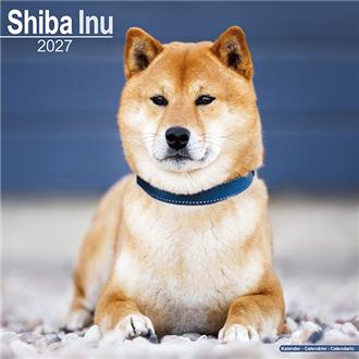 ２０２７　３０ｘ３０　Ｓｈｉｂａ　Ｉｎｕ