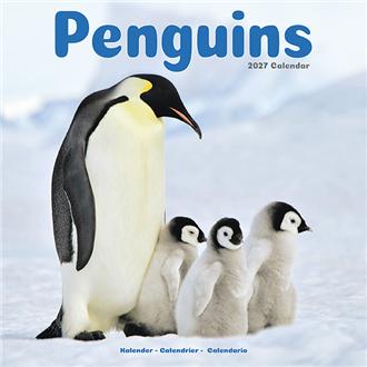 ２０２７　３０ｘ３０　ＰＥＮＧＵＩＮＳ