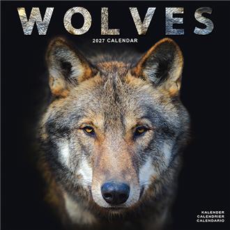 ２０２７　３０ｘ３０　ＷＯＬＶＥＳ