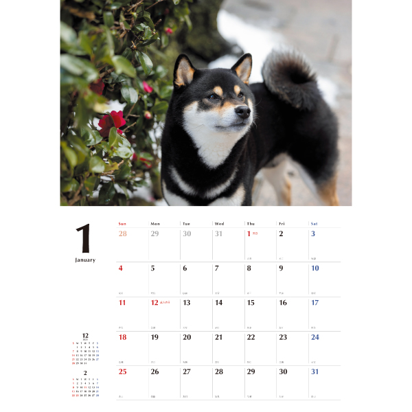 2026 黒柴カレンダー 壁掛 | 伊東屋オンラインストア