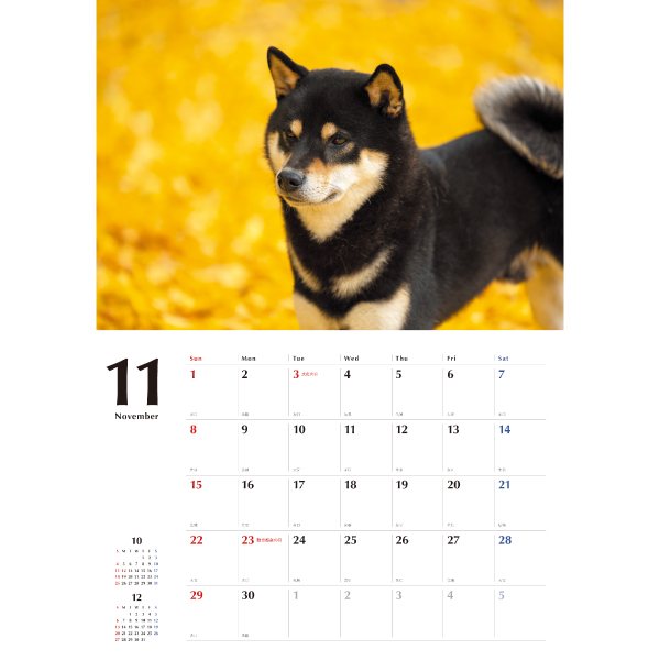 2026 黒柴カレンダー 壁掛 | 伊東屋オンラインストア