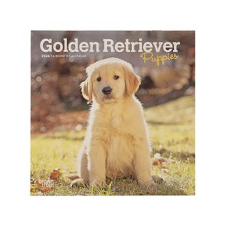 ２０２６　１８ｘ１８　Ｇ　ＲＥＴＲＩＥＶ　ＰＰＹ