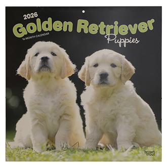 ２０２６　３０ｘ３０　Ｇ　ＲＥＴＲＩＥＶ　ＰＰＹ