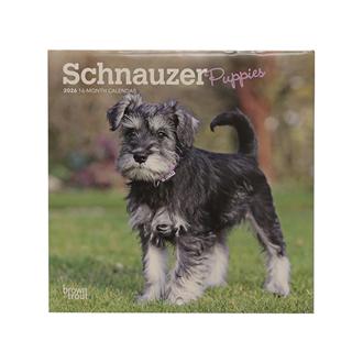 ２０２６　１８ｘ１８　ＳＣＨＮＡＵＺＥＲ　ＰＰＹ