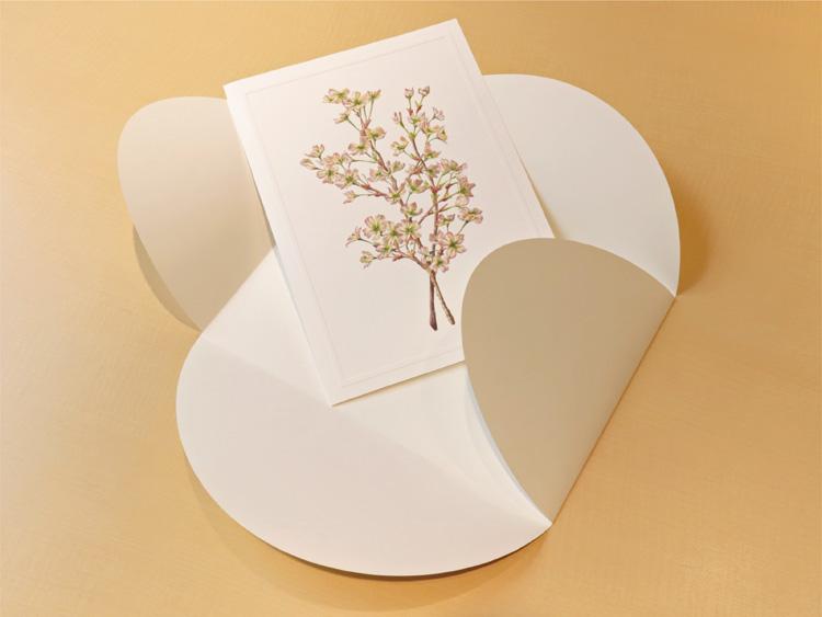 20230314-ItoyaflowerL-04.jpg